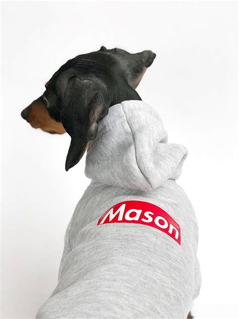 Custom Pet Hoodies - Keep Your Dog Warm & Stylish!